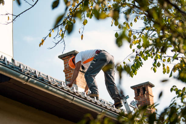 Best Metal Roofing Contractor  in East Palo Alto, CA